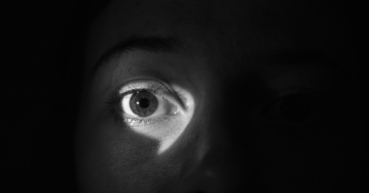 Le point de vue interne