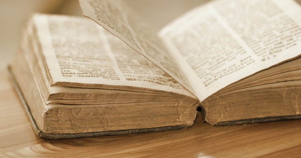 Un livre ancien ouvert, mettant en valeur la reliure