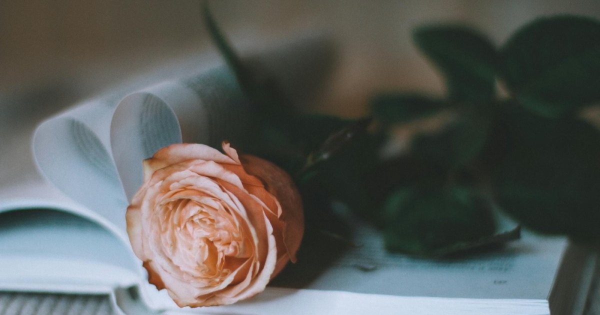 Un livre contenant des tropes