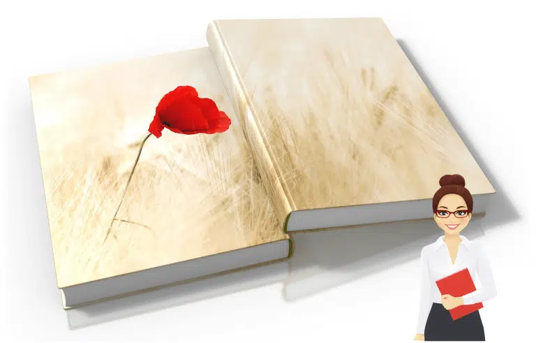 Comment bien choisir la couverture d'un livre rev1