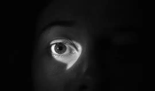 Le point de vue interne