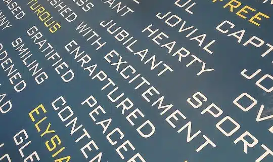 Les anglicismes : menace ou évolution naturelle du français ?