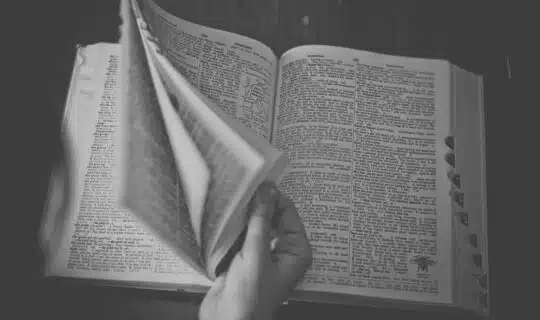 Les néologismes, ces abracadabrantesques ovnis de la prose