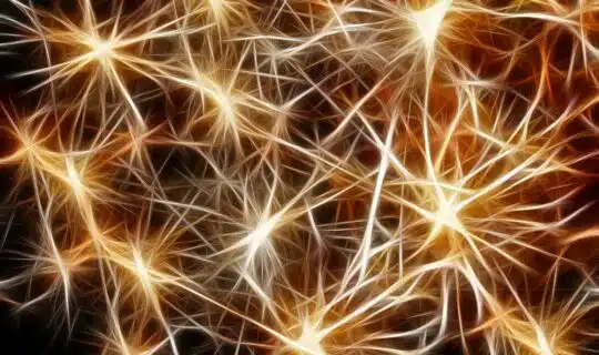 L’Hypertexte en littérature