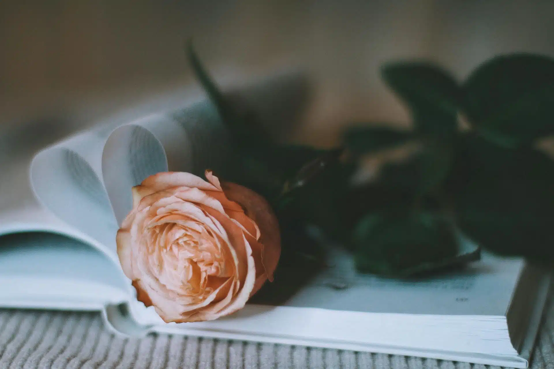 Un livre contenant des tropes